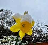 VIDEO: Readers send in their Abergavenny snow day photos 