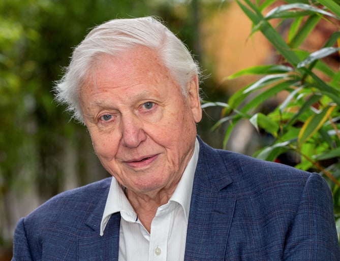 FILE PICTURE - David Attenborough.  The top things to come out of Britain have been named as fish and chips, roast dinners â and David Attenborough.  See SWNS story SWBRtrade.  A survey of 2,000 adults found the full English breakfast, the internet and Cadbury chocolate also finished high in the top 50 best British exports, alongside Cheddar cheese and William Shakespeare.  The Beatles and Queen completed the top 10.  Several traditional British foods made their way into the top 50, with the sandwich, afternoon tea, crumpets and Marmite all ranking highly.  Classic British TV shows Top Gear, Downton Abbey and Doctor Who were also popular, as were public figures such as the Royal Family, Sir Stephen Hawking and David Bowie.  A host of British businesses also appeared in the list, including Marks & Spencer (M&S), Yorkshire Tea and Dyson, alongside car brands MINI, Rolls-Royce and Aston Martin.  It also emerged that 82 per cent of Brits, polled by Santander UK, think some of the best things in the world have originated in Britain. 