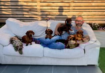 The Sausage Sitters named best pet service in Wales 