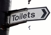 Toilet map shows just a handful of accessible toilets in Monmouthshire