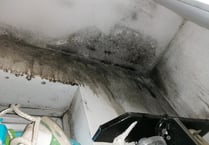 Abergavenny mum fears for newborn’s health in mould-ridden council house 