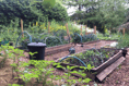 Abergavenny Friends of the Earth on how to be biodiverse