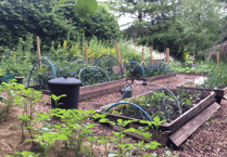 Abergavenny Friends of the Earth on how to be biodiverse