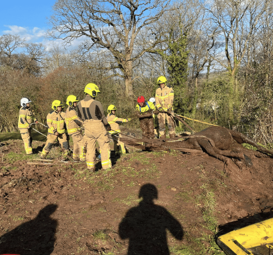 Crews from Abergavenny and Merthyr rescue horse 