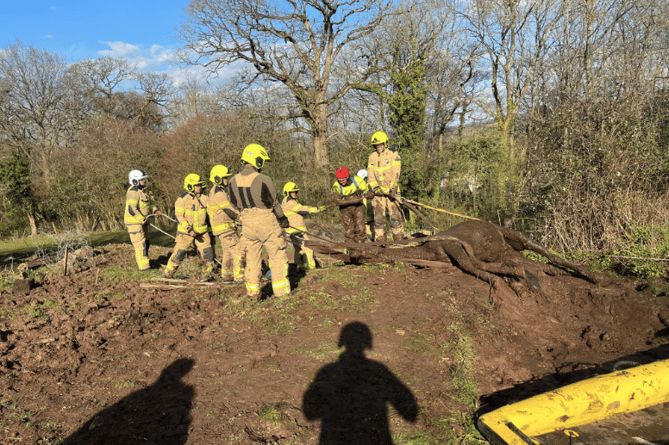 South Wales Fire and Rescue Service save horse