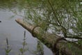 Wye Valley and Forest MPs vote to block sewage discharge bill