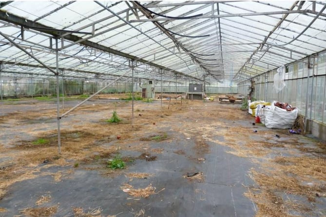 Inside one of the greenhouses that are due to be demolished at Willows Garden Centre in Usk