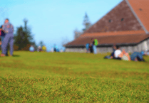 Gilwern Greens Are Good for You!