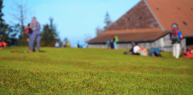 lawn bowling