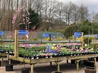 Garden centre reassures customers amid housing development approval