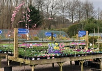 Garden centre reassures customers amid housing development approval
