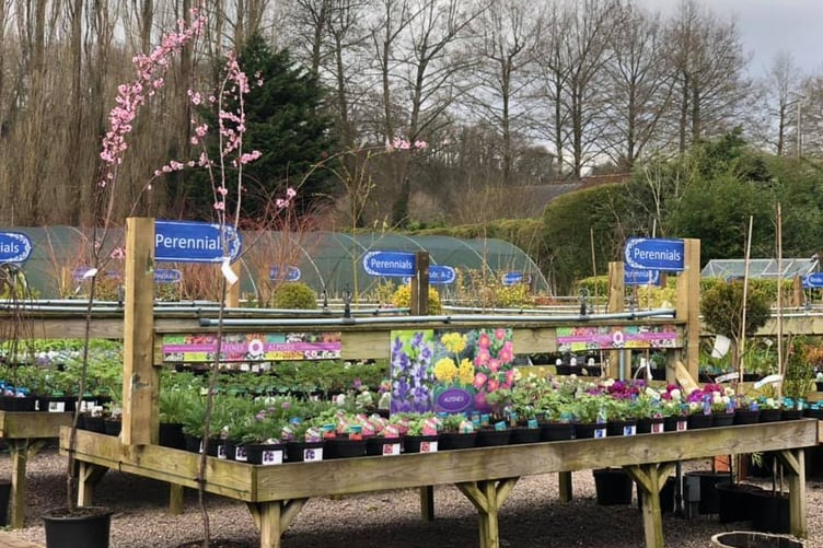 Willows Garden Centre