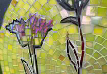 Bailey Park one of the five greens spaces featuring new mosaic