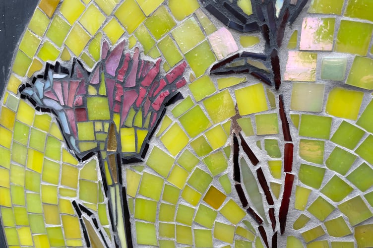 Nature Isn't Neat artwork detail