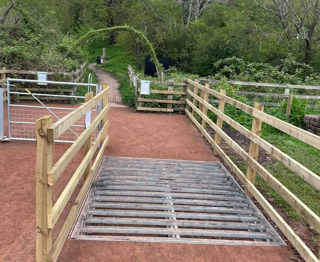 Castle Meadows' controversial cattle grids replaced