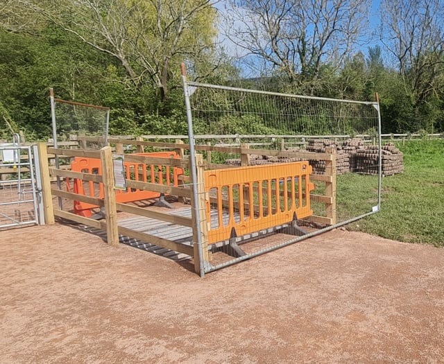 READER'S LETTER: Not too late for council to listen over Castle Meadow