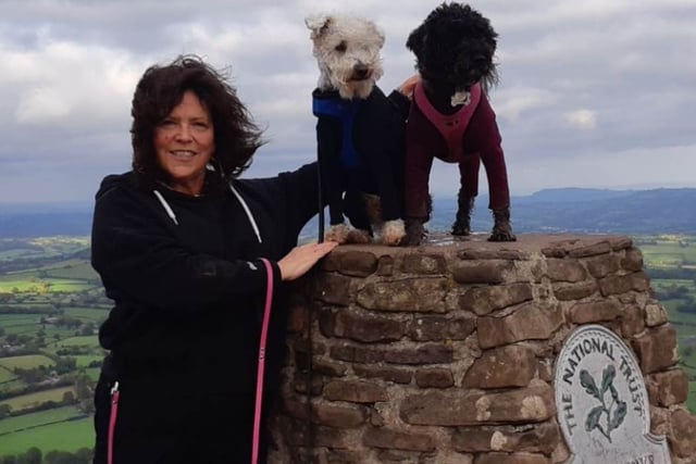 Dog owner calls on council to rule out cattle grids