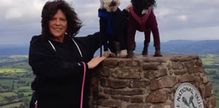 Dog owner calls on council to rule out cattle grids