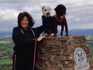 Dog owner calls on council to rule out cattle grids