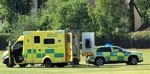 Defib saves life on cricket pitch