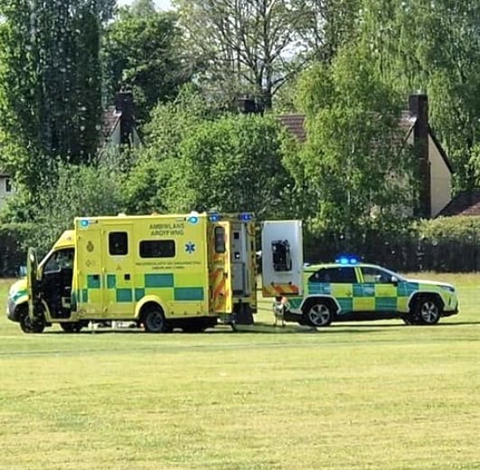 Defib saves life on cricket pitch