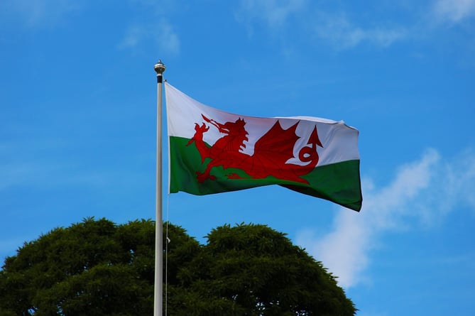Neath Port Talbot Council\'s draft Welsh in Education Strategic Plan (WESP) was approved for review despite attempts by Plaid councillors to propose an amendment