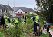 Friends of Bailey Park get a helping hand