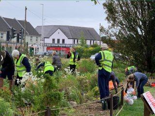 Weeding a very weedy Rockery
