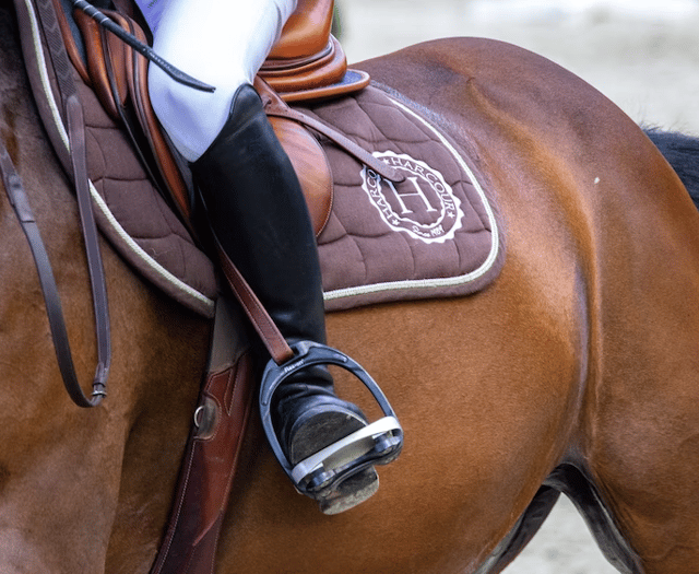 Rising costs force equestrian centre to close