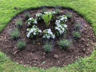 The smaller circular beds on either side contain white Busy Lizzies, Lavender and Cosmos.