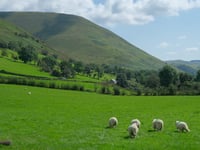 Welsh Government tree planting plans risk food production warns MP