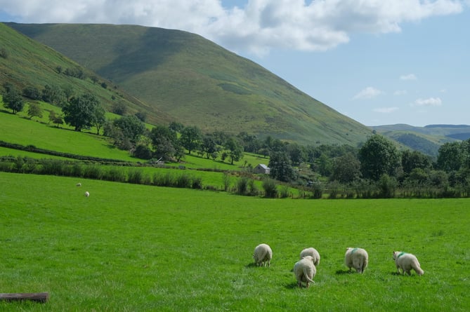 Welsh farm