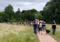 Scores of locals walk the Meadows
