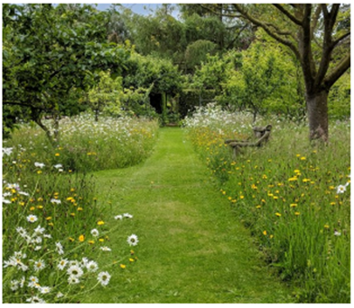GREENSPACE