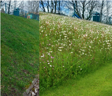 GREEN SPACE