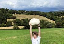 Fun times for fungi finder Josh and his giant puffball