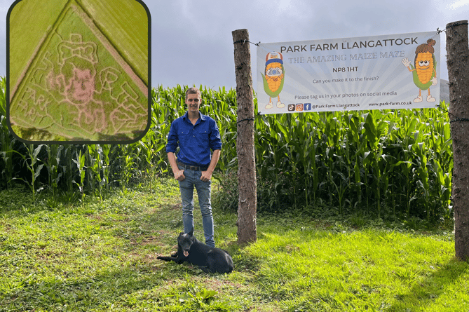 Park Farm's Maize Maze 