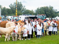 Usk Show named in UK’s Top Ten list