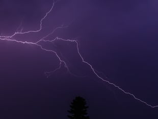Fireworks in the sky