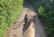 Overgrown bridleways creates issue for charity horse ride 