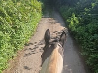 Overgrown bridleways creates issue for charity horse ride 