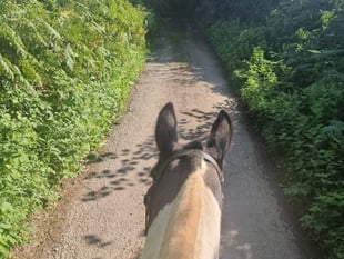 Overgrown bridleways creates issue for charity horse ride 