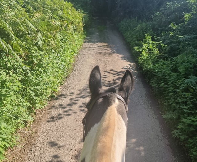 Overgrown bridleways creates issue for charity horse ride 