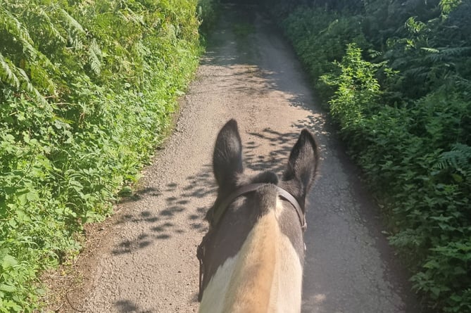 Disa Somers horse ride