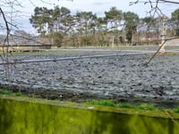 'Tough and urgent' action needed to tackle sewage in Wales' waterways