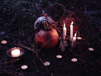 Don’t let this Halloween be a wasteful one
