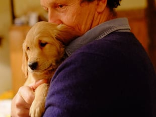 Monty Don mourns the loss of his dog Nell to cancer