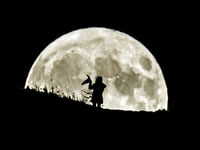 Halloween 2023: More witches living in Monmouthshire