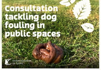 MCC joins forces with local councils for Dog Fouling Awarness Day