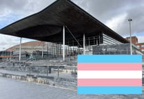 Transgender women could stand as women in future Senedd elections 